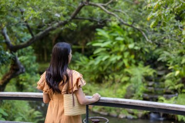 Gezgin kadın, orman manzarasına bak.