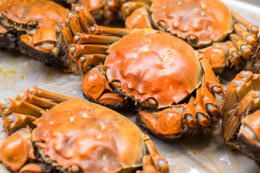 Tabakta Çin eldiveni yengeci var.