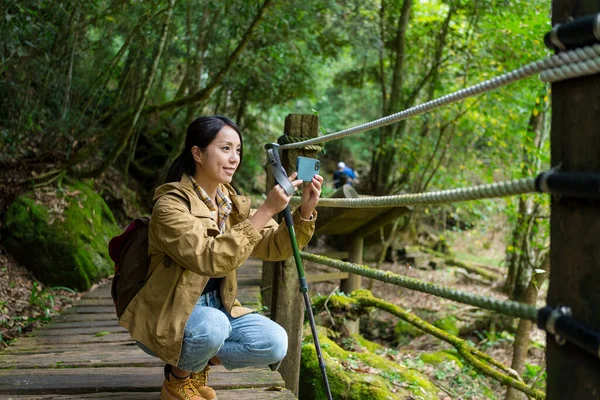 Woman Use Cellphone Take Photo Forest Hiking — Stock Photo, Image