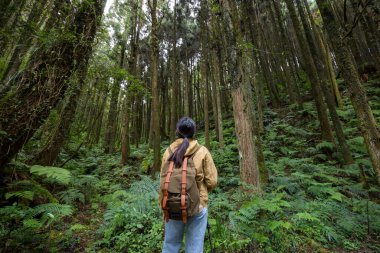 Sırt çantalı ve sırıkları doğada duran bir kadın. 