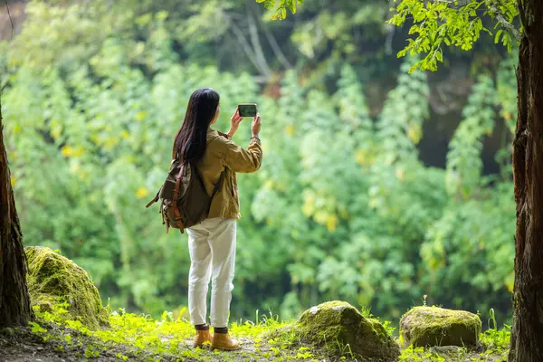 女人在森林里用手机拍照 — 图库照片