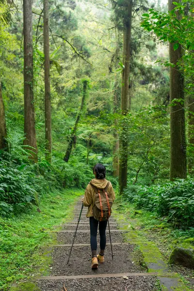 森の上をハイキングバックパックとトレッキングポールを持つ女性 — ストック写真