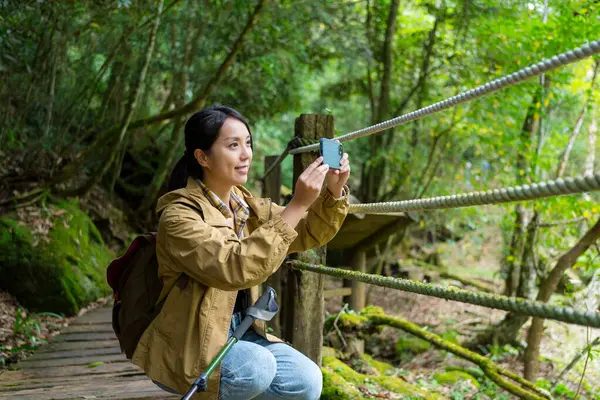 Donna Utilizzare Cellulare Scattare Foto Escursioni Nella Foresta — Foto Stock