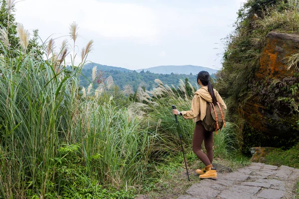 Mujer Excursión Con Bastón Trekking Caminar Por Montaña —  Fotos de Stock