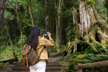 Yürüyüş yapan kadın, ormanda fotoğraf çekmek için dijital kamera kullanıyor.