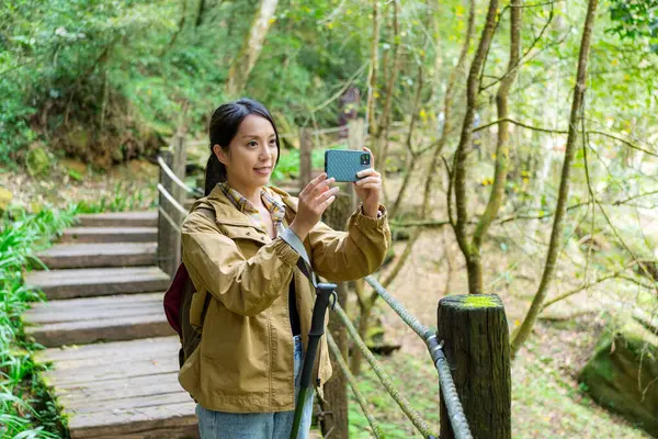 Mulher Usa Celular Para Tirar Fotos Caminhadas Floresta — Fotografia de Stock