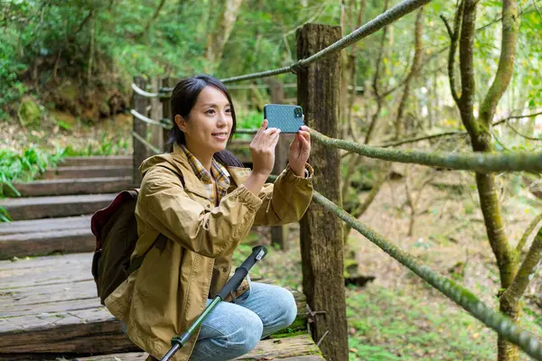 Donna Utilizzare Cellulare Scattare Foto Escursioni Nella Foresta — Foto Stock