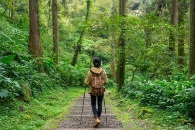 Kadın ormanda gitmek hiking