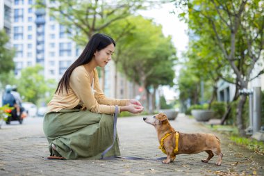 Kadın sokakta köpeğini abur cuburla besliyor.