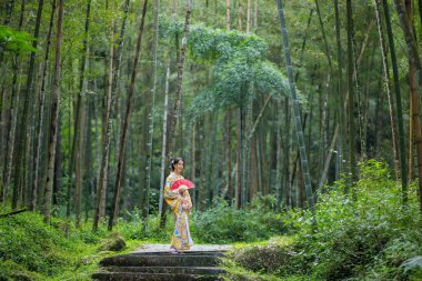 Bambu ormanında kadınlar kimono giyer.