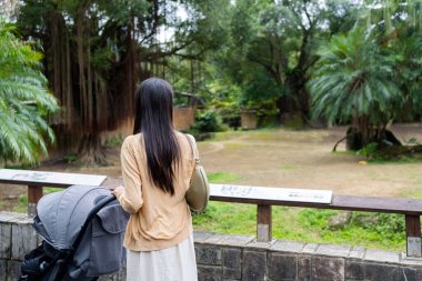 Bebek arabasıyla Asyalı anne hayvanat bahçesi parkını ziyaret ediyor.