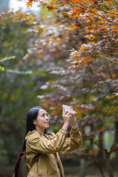 Hike Woman Use Mobile Phone Take Photo Autumn Season — Stock Photo, Image