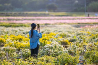 Kadın çiçek çiftliğinde fotoğraf çekmek için cep telefonu kullanıyor.
