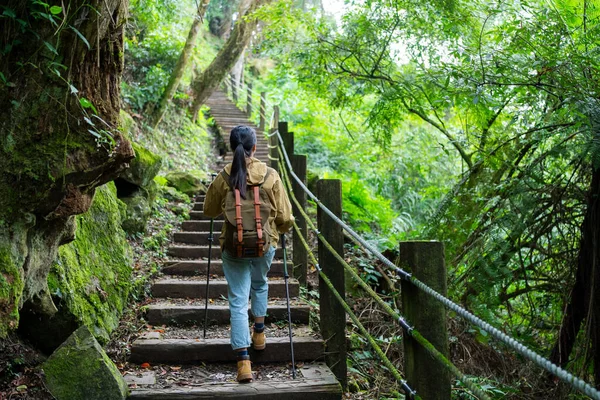 ハイキング女性はハイキングに行き 森を歩く — ストック写真