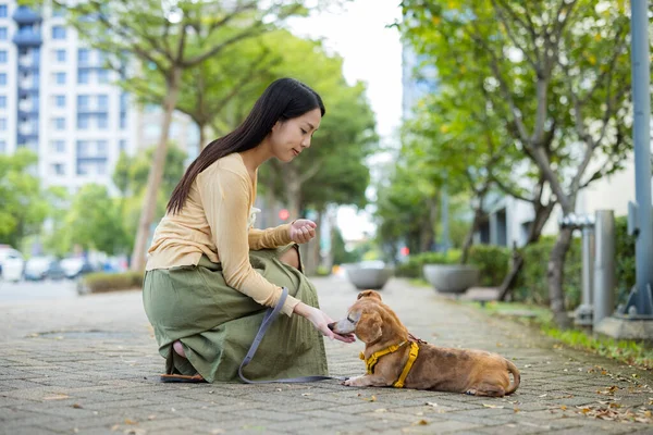 Kadın sokakta köpeğini abur cuburla besliyor.