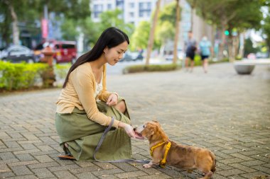 Kadın sokakta köpeğini abur cuburla besliyor.