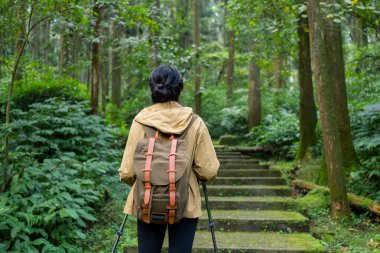 Bir kadın yürüyüşe çıkar ve yol boyunca yürür.