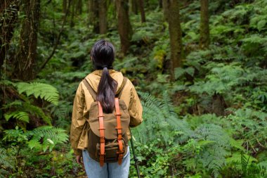 Sırt çantalı ve sırıkları doğada duran bir kadın. 