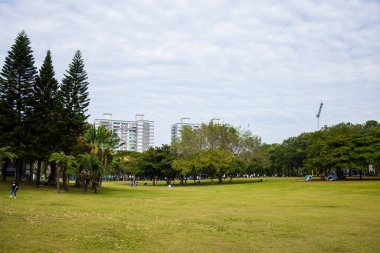 Tayvan - 09 Aralık 2023: Yeşil çimenli büyük park