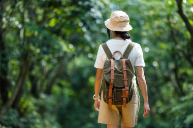 Ormanda yürüyüş parkurunda bir kadın yürüyor.