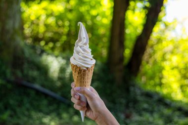 Dondurmayı yeşil arka planda tut.