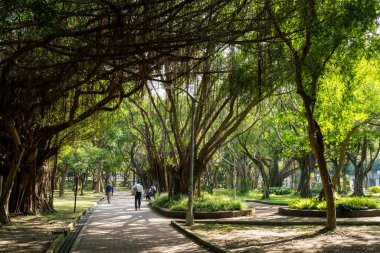 Taipei, Tayvan - 27 Aralık 2023: Taipei 'deki Daan Parkı