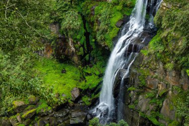 Ormanda güzel bir şelale