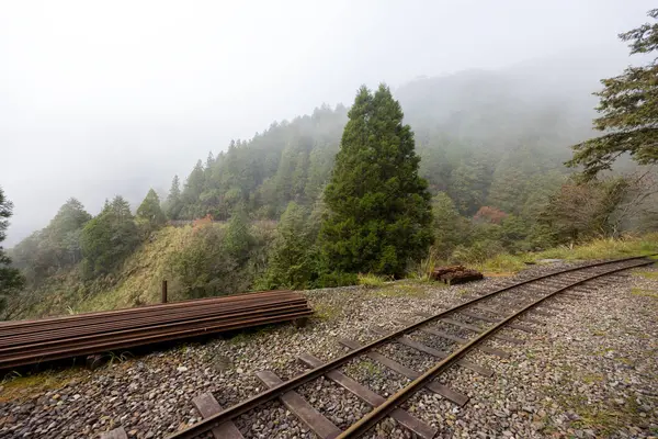 Τρένο Ομιχλώδη Ομίχλη Στο Βουνό — Φωτογραφία Αρχείου