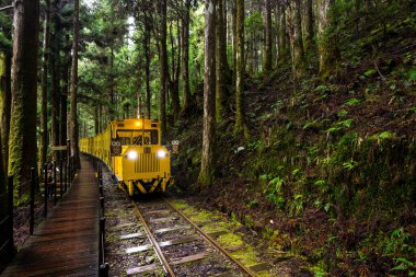 Yilan, Taiwan - 05 December 2023: Yellow Colored Bong Bong Train in Taipingshan National Forest Recreation Area at Yilan clipart