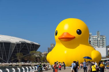 Tayvan - 01 Şubat 2024: Tayvan 'daki Kaohsiung Körfezi' nde sarı ördek