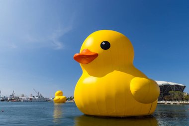 Tayvan - 01 Şubat 2024: Tayvan 'daki Kaohsiung Körfezi' nde sarı ördek