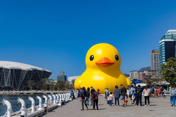 Tayvan - 01 Şubat 2024: Tayvan 'daki Kaohsiung Körfezi' nde sarı ördek