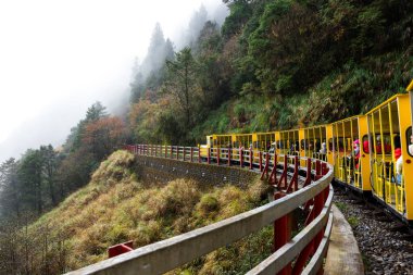 Yilan, Tayvan - 05 Aralık 2023: Yilan 'daki Taipingshan Ulusal Orman Bölgesi' nde Sarı Bong Bong Treni
