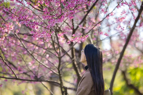 Woman Look Sakura Tree — Stock Photo, Image