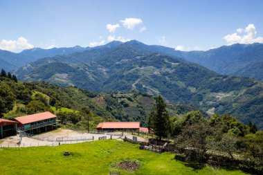 Tayvan Nantou 'daki Cingjing çiftliği.