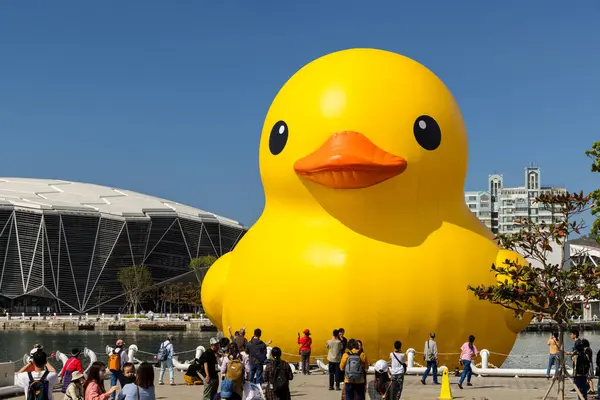 Tayvan - 02 Şubat 2024: Tayvan 'daki Kaohsiung Körfezi' nde sarı ördek