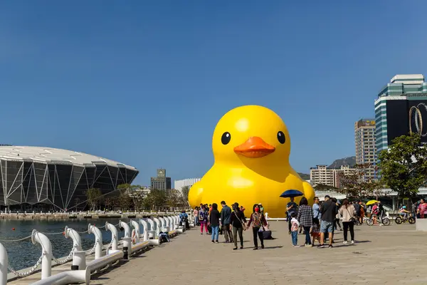 Tayvan - 02 Şubat 2024: Tayvan 'daki Kaohsiung Körfezi' nde sarı ördek