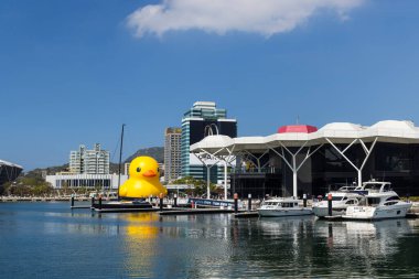 Tayvan - 01 Şubat 2024: Tayvan 'daki Kaohsiung Körfezi' nde sarı ördek