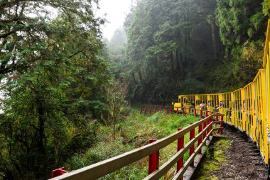 Yilan, Tayvan - 05 Aralık 2023: Yilan 'daki Taipingshan Ulusal Orman Bölgesi' nde Sarı Bong Bong Treni