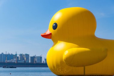 Tayvan - 01 Şubat 2024: Tayvan 'daki Kaohsiung Körfezi' nde sarı ördek