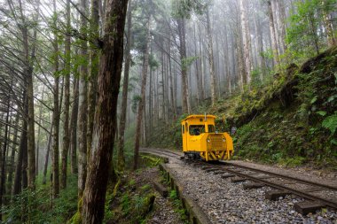 Yilan, Tayvan - 05 Aralık 2023: Yilan 'daki Taipingshan Ulusal Orman Bölgesi' nde Sarı Bong Bong Treni