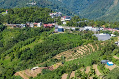 Tayvan Nantou 'daki Cingjing çiftliği.