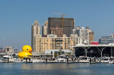 Tayvan - 02 Şubat 2024: Tayvan 'daki Kaohsiung Körfezi' nde sarı ördek