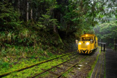Yilan, Tayvan - 05 Aralık 2023: Yilan 'daki Taipingshan Ulusal Orman Bölgesi' nde Sarı Bong Bong Treni