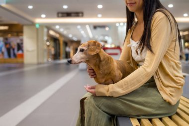 Dachshund köpeğiyle alışveriş merkezine giden bir kadın.