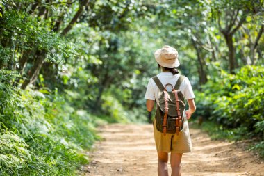 Aktif bir kadın ormanda yürüyüşe çıkar ve yol boyunca yürür.