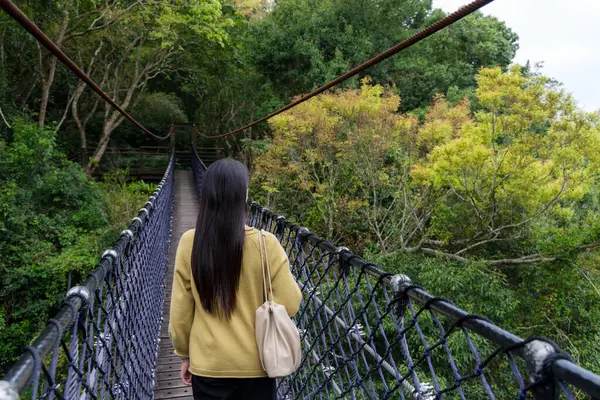 Mulher Caminhar Longo Ponte Suspensa Floresta Fotos De Bancos De Imagens