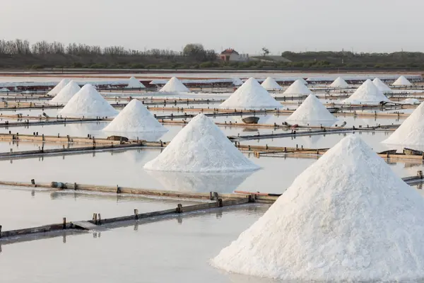 Jingzaijiao Tile Paved Salt Fields Tainan Taiwan Stockbild