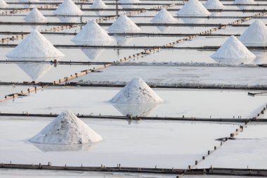 Jingzaijiao Tile paved Salt Fields in Tainan of Taiwan