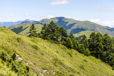 Yeşil dağ Hehuanshan 'ın manzarası
